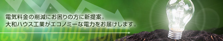 電気料金の削減にお困りの方に新提案。大和ハウス工業がエコノミーな電力をお届けします。