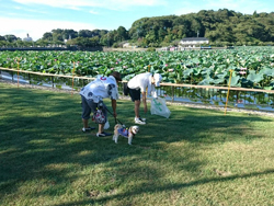 蓮花寺池公園の清掃活動