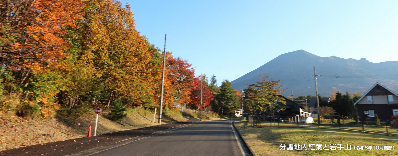 分譲地内紅葉と岩手山（令和6年10月撮影）