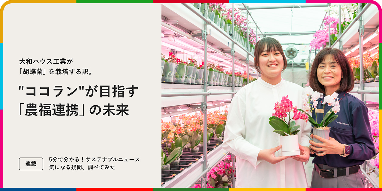 大和ハウス工業が「胡蝶蘭」を栽培する訳。"ココラン"が目指す「農福連携」の未来