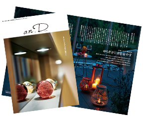 an.D vol.65