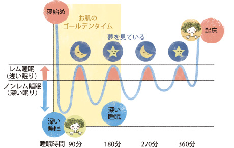 お肌のゴールデンタイム