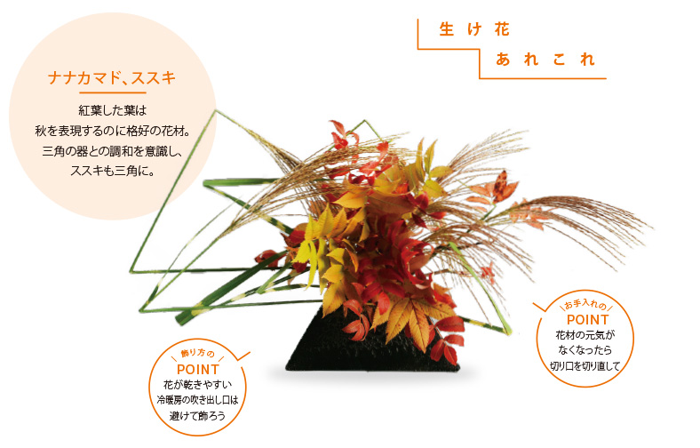 生け花あれこれ[ナナカマド、ススキ]紅葉した葉は秋を表現するのに格好の花材。三角の器との調和を意識し、ススキも三角に。[お手入れのPOINT]花が乾きやすい冷暖房の吹き出し口は避けて飾ろう [お手入れのPOINT]花材の元気がなくなったら切り口を切り直して