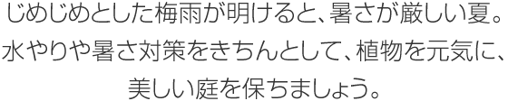 じめじめとした梅雨が明けると、暑さが厳しい夏。水やりや暑さ対策をきちんとして、植物を元気に、美しい庭を保ちましょう。