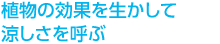 植物の効果を生かして涼しさを呼ぶ