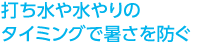 打ち水や水やりのタイミングで暑さを防ぐ