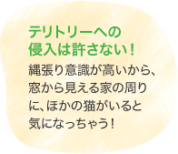 テリトリーへの侵入は許さない！　縄張り意識が高いから、窓から見える家の周りに、ほかの猫がいると気になっちゃう！