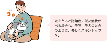 歳をとると認知症に似た症状が出る場合も。子猫・子犬のときのように、優しくスキンシップを。