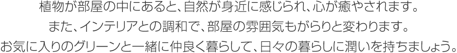 植物が部屋の中にあると、自然が身近に感じられ、心が癒やされます。また、インテリアとの調和で、部屋の雰囲気もがらりと変わります。お気に入りのグリーンと一緒に仲良く暮らして、日々の暮らしに潤いを持ちましょう。