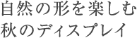 自然の形を楽しむ秋のディスプレイ